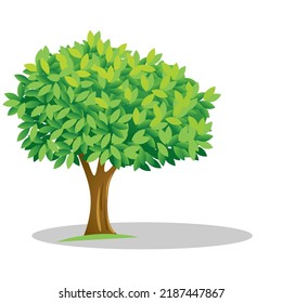 Art Illustration Muster Nahtlose Symbol Symbol botanische Logo-Pflanzen von realistischen Bäumen