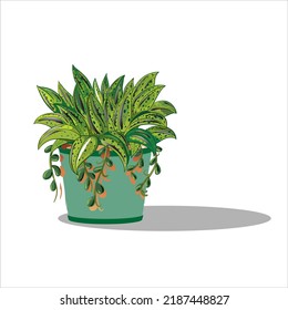 Art Illustration Pattern Seamless symbol icon botanical logo of realistic plant in pot 