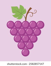 art illustration of purple grapes 