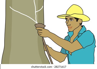 art illustration of a rubber tapper in a forest