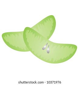 art illustration: the segments of a lemon