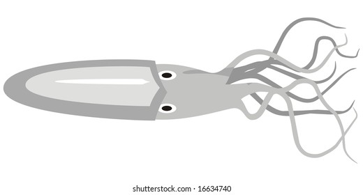 art illustration of a squid