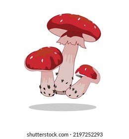 Art illustration Symbol logo botany design concept icon vegetables of mushroom