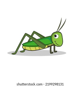 art illustration symbol macot animal icon design nature concept insect of grasshopper