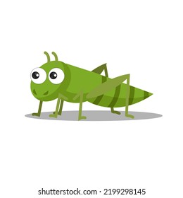 art illustration symbol macot animal icon design nature concept insect of grasshopper