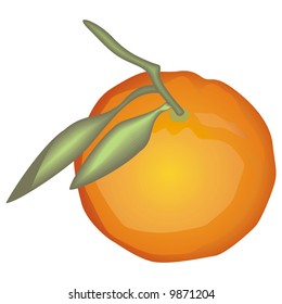 art illustration of a tangerine