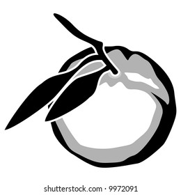 art illustration of a tangerine