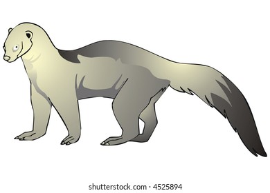 art illustration of an tayra, or Eira barbara