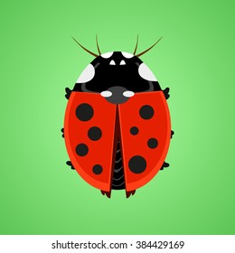 Art ladybug icon flat