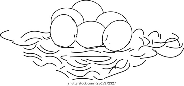 the art line illustration of eggs in the bird nest