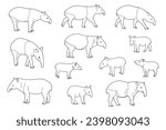 Art line Tapir, Tapir vector set, Tapir animal bundle. Image For Animals Design on white background.