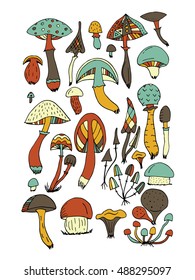 Art mushrooms set, sketch for your design