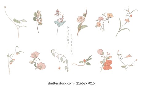 Kunst Natursymbol und Logo Design. Japanischer Hintergrund mit handgezeichneter natürlicher Vektorgrafik. Zweig mit Blättern und Blumendekoration im Vintage-Stil. 