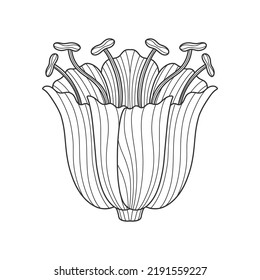 Jugendstil-Element. 1920-1930 Jahre Vintage Design. Symbolmotiv-Design. Einzeln auf Weiß. Vektorgrafik.