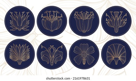 Art nouveau style flower plant basic circle element. 1920-1930 years vintage design. Symbol motif design.