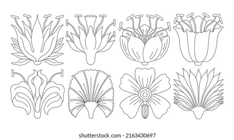 Art nouveau style flower plant basic element. 1920-1930 years vintage design. Symbol motif design.