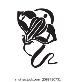 Art nouveau style illustration of flower. Natural ornaments in black white vector format.