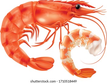 Art of seafoods in white background