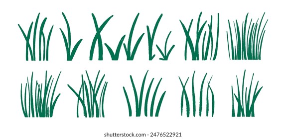 Art set of green grass sprouts drawn with a brush. Vector illustration. 