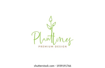 dibujo líneas individuales logotipo de hoja femenina símbolo vector ilustración de diseño