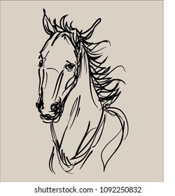 art sketch of running horse,horse head,portrait