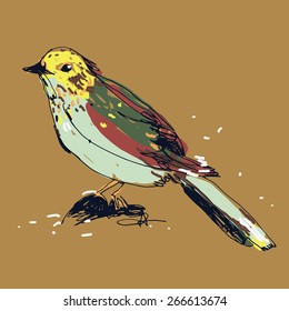art sketched hand drawn colorful bird