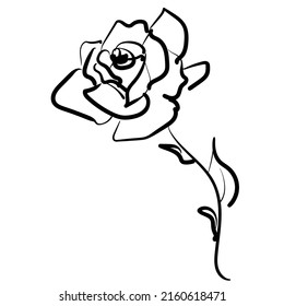 art sketched roses vector background with space for text, for card