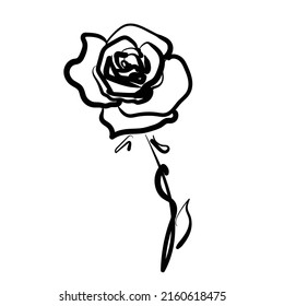 art sketched roses vector background with space for text, for card