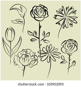 art sketching set of vector floral symbols