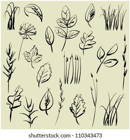 art sketching set of vector leaves symbols elements