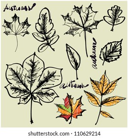 art sketching set of vector leaves symbols