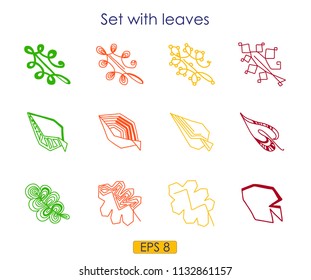 Art sketching set of vector leaves symbols, different interesting contours of tree leaves, logo, icon, colourful silhouette, vector illustration, EPS 8