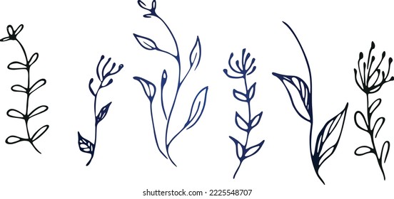 art sketching set of vector leaves symbols elements.