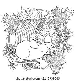 Art therapy coloring page for adults and children. Colouring pictures with mouse and cute house. Linear engraved art. Antistress freehand sketch drawing with doodle and zentangle elements.
