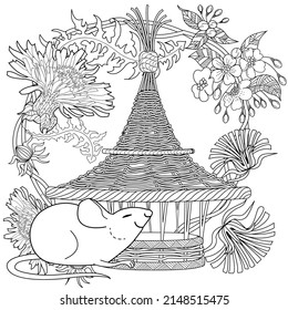 Art therapy coloring page for adults and children. Colouring pictures with mouse and cute house. Linear engraved art. Antistress freehand sketch drawing with doodle and zentangle elements.
