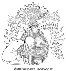 Art therapy coloring page for adults and children. Colouring pictures with mouse and cute house. Linear engraved art. Antistress freehand sketch drawing with doodle and zentangle elements.
