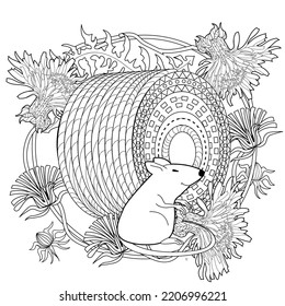 Art therapy coloring page for adults and children. Colouring pictures with mouse and cute house. Linear engraved art. Antistress freehand sketch drawing with doodle and zentangle elements.
