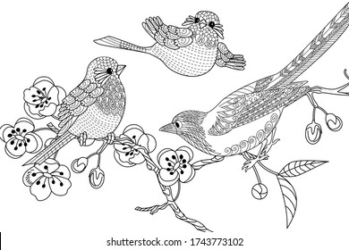 Art therapy coloring page. Bird hand drawn in vintage style with flowers.Linear engraved art. Bird concept. Romantic concept. Vector design