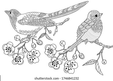 Art therapy coloring page. Birds hand drawn in vintage style with flowers. Duckd and blossom branches of cherry. Linear engraved art. Bird concept. Romantic concept.