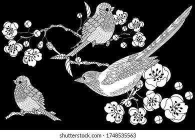 Art therapy coloring page. Birds hand drawn in vintage style with flowers. Duckd and blossom branches of cherry. Linear engraved art. Bird concept. Romantic concept.
