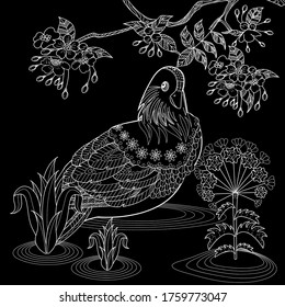 Art therapy coloring page. Birds hand drawn in vintage style with flowers. Asian duck and blossom branches of cherry. Linear engraved art. Bird concept. Romantic concept.