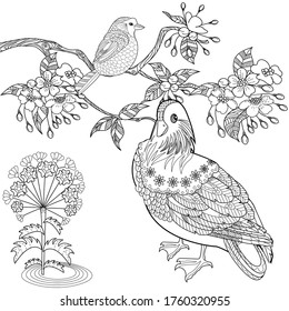 Art therapy coloring page. Birds hand drawn in vintage style with flowers. Asian duck and blossom branches of cherry. Linear engraved art. Bird concept. Romantic concept.
