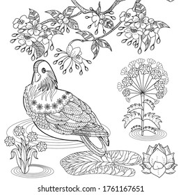 Art therapy coloring page. Birds hand drawn in vintage style with flowers. Asian duck and blossom branches of cherry. Linear engraved art. Bird concept. Romantic concept.