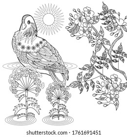 Art therapy coloring page. Birds hand drawn in vintage style with flowers. Asian duck and blossom branches of cherry. Linear engraved art. Bird concept. Romantic concept.