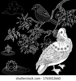 Art therapy coloring page. Birds hand drawn in vintage style with flowers. Asian duck and blossom branches of cherry. Linear engraved art. Bird concept. Romantic concept. 