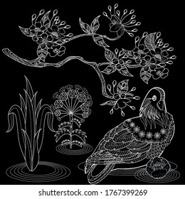 Art therapy coloring page. Birds hand drawn in vintage style with flowers. Asian duck and blossom branches of cherry. Linear engraved art. Bird concept. Romantic concept.