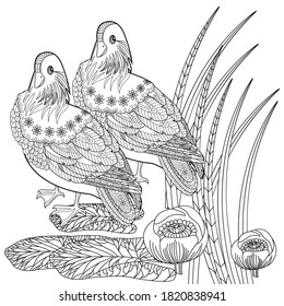 Art therapy coloring page. Birds hand drawn in vintage style with flowers. Asian duck and lilies. The art of linear engraving. Bird concept. Romantic concept.