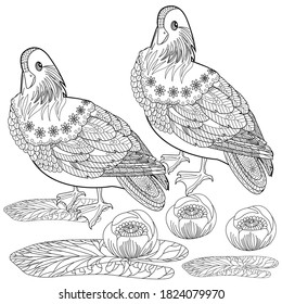Art therapy coloring page. Birds hand drawn in vintage style with flowers. Asian duck and lilies. The art of linear engraving. Bird concept. Romantic concept.
