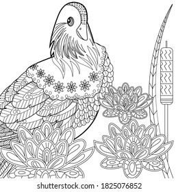 Art therapy coloring page. Birds hand drawn in vintage style with flowers. Asian duck and lilies. The art of linear engraving. Bird concept. Romantic concept.