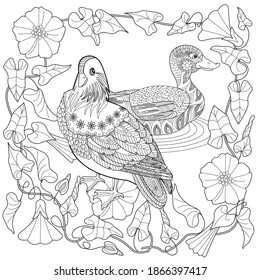 Art therapy coloring page. Birds hand drawn in vintage style with flowers. Asian duck and blossom branches. Linear engraved art. Bird concept. Romantic concept. 